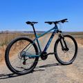 Marin Bolinas Ridge 2 29 mountain bike blue A-1488G-G2-20 3