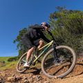Marin Bobcat Trail 4 29 mountain bike brown A-1468G-G2-17 4