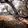 Marin Bobcat Trail 5 29 gloss black/orange/silver mountain bike 3