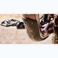 Mountain bike Marin Alpine Trail 1 29/27.5 gloss brown/blue/light blue 7