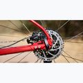 Mountain bicycle Marin Bobcat Trail 3 29 gloss charcoal/red/black 6