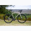 Marin Nicasio 1 gravel bicycle 700C bone grey 3