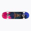 Tricks Navajo Complete classic skateboard in colour