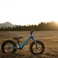 Orbea MX 12 cross-country bike blue M00112I1 7