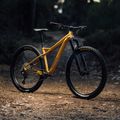 Orbea mountain bike Laufey H30 2023 gold N24917LX 7