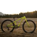 Children's bicycle Orbea MX20 Team yellow M00520I6 6
