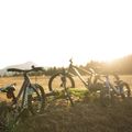 Children's bicycle Orbea MX20 Team yellow M00520I6 8