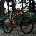Orbea Onna 29 50 mountain bike red M20721NA 11