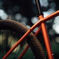 Orbea Onna 29 50 mountain bike red M20721NA 14