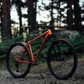 Orbea Onna 29 40 mountain bike red M20817NA 14