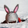 COOLCASC Bunny helmet overlay grey 003 4