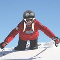 Helmet cover COOLCASC Walrus 10