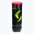 Padel balls Siux Neo Box 72 pack red 3
