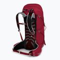Men's trekking backpack Osprey Talon 36 l (S-M) cosmic red 2