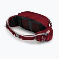 Osprey Seral 7 l kidney sachet red 10003208 11