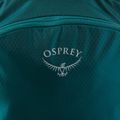 Osprey Poco LT children's travel carrier green 10003405 7