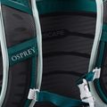 Osprey Poco LT children's travel carrier green 10003405 13