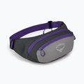Osprey Daylite Waist 2L grey-purple kidney pouch 10004202 8