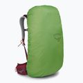 Osprey Stratos 44 l hiking backpack red 10004264 8