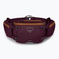 Osprey Savu 5 aprium purple bicycle pouch