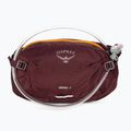 Osprey Seral 4 cycling kidney purple 10005092