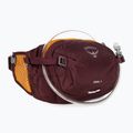 Osprey Seral 4 cycling kidney purple 10005092 2