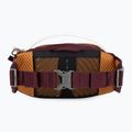 Osprey Seral 4 cycling kidney purple 10005092 3