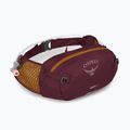 Osprey Seral 4 cycling kidney purple 10005092 6