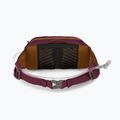 Osprey Seral 4 cycling kidney purple 10005092 8