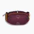 Osprey Seral 4 cycling kidney purple 10005092 9