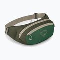 Osprey Daylite Waist green canopy/green creek waistbag 2