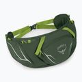 Osprey Duro Dyna 2 l seaweed green/limon kidney pouch 2