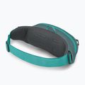 Osprey Daylite Waist waistbag jetstream blue/cascade blue 3