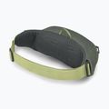 Osprey Daylite Waist rattan print/rocky brook waistbag 3