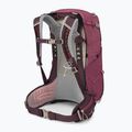 Osprey Sirrus 24 l women's hiking backpack elderberry purple / chiru tan 2