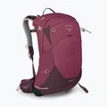 Osprey Sirrus 24 l women's hiking backpack elderberry purple / chiru tan 3