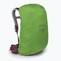 Osprey Sirrus 24 l women's hiking backpack elderberry purple / chiru tan 4