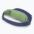 Osprey Daylite Waist 2 l blue spikemoss/alkaline kidney pouch 2