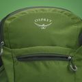 Osprey Daylite Plus 20 l green belet / green canopy hiking backpack 4