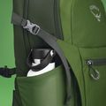 Osprey Daylite Plus 20 l green belet / green canopy hiking backpack 6