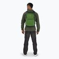 Osprey Daylite Plus 20 l green belet / green canopy hiking backpack 7