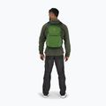 Osprey Daylite Plus 20 l green belet / green canopy hiking backpack 10
