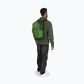 Osprey Daylite Plus 20 l green belet / green canopy hiking backpack 11
