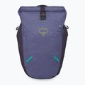 Osprey Transporter Roll Top 20 l city backpack euphoria purple