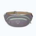 Waistbag Osprey Daylite Waist 2 l soundwave grey/ latte brown