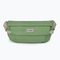 Osprey Arcane Hip 2 l botanica kidney sachet