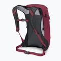 Osprey Hikelite 18 l hiking backpack chameleon / black 3