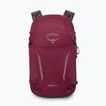 Hiking backpack Osprey Hikelite 26 l chameleon/ black