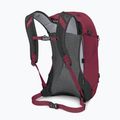 Hiking backpack Osprey Hikelite 26 l chameleon/ black 4