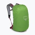 Hiking backpack Osprey Hikelite 26 l chameleon/ black 6